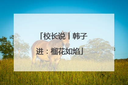 校长说丨韩子进：榴花如焰