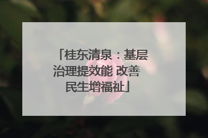 桂东清泉：基层治理提效能 改善民生增福祉