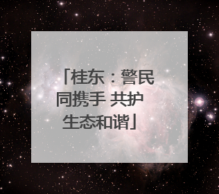 桂东：警民同携手 共护生态和谐