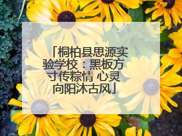桐柏县思源实验学校：黑板方寸传粽情 心灵向阳沐古风