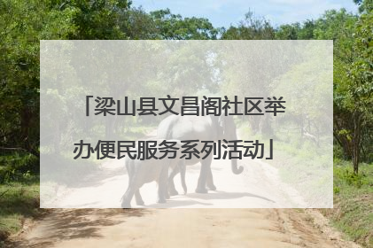 梁山县文昌阁社区举办便民服务系列活动