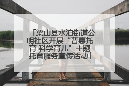 梁山县水泊街道公明社区开展“普惠托育 科学育儿”主题托育服务宣传活动