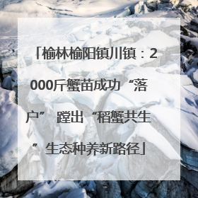 榆林榆阳镇川镇：2000斤蟹苗成功“落户” 蹚出“稻蟹共生”生态种养新路径