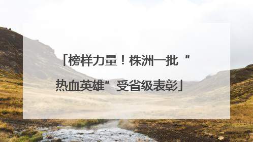 榜样力量！株洲一批“热血英雄”受省级表彰