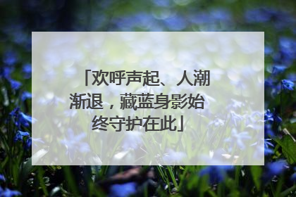 欢呼声起、人潮渐退，藏蓝身影始终守护在此