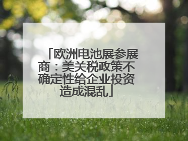 欧洲电池展参展商：美关税政策不确定性给企业投资造成混乱
