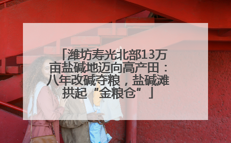 潍坊寿光北部13万亩盐碱地迈向高产田：八年改碱夺粮，盐碱滩拱起“金粮仓”
