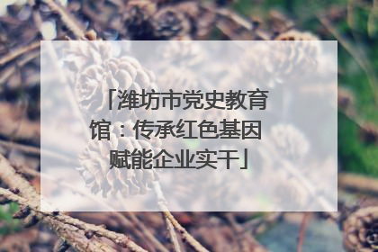 潍坊市党史教育馆：传承红色基因 赋能企业实干