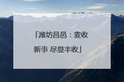 潍坊昌邑：麦收新事 尽显丰收