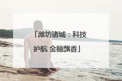 潍坊诸城：科技护航 金穗飘香