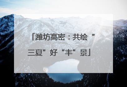 潍坊高密：共绘“三夏”好“丰”景