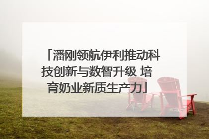潘刚领航伊利推动科技创新与数智升级 培育奶业新质生产力
