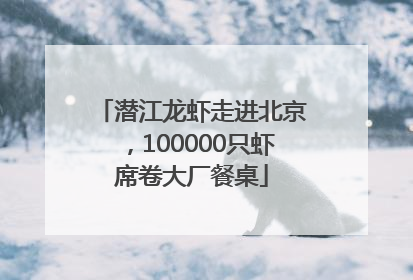 潜江龙虾走进北京，100000只虾席卷大厂餐桌