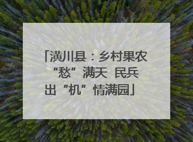 潢川县：乡村果农“愁”满天  民兵出“机”情满园