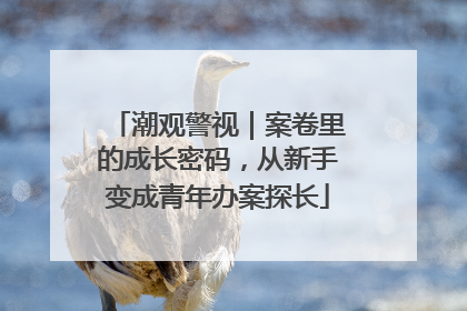 潮观警视｜案卷里的成长密码，从新手变成青年办案探长