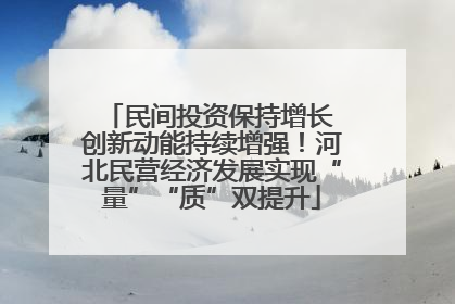 民间投资保持增长 创新动能持续增强！河北民营经济发展实现“量”“质”双提升