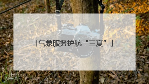 气象服务护航“三夏”