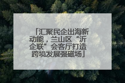 汇聚民企出海新动能，兰山区“沂企联”会客厅打造跨境发展强磁场