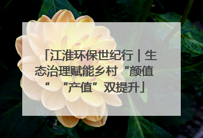 江淮环保世纪行｜生态治理赋能乡村“颜值”“产值”双提升