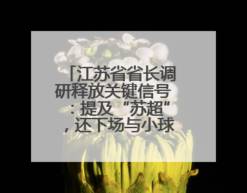 江苏省省长调研释放关键信号：提及“苏超”，还下场与小球员踢球互动