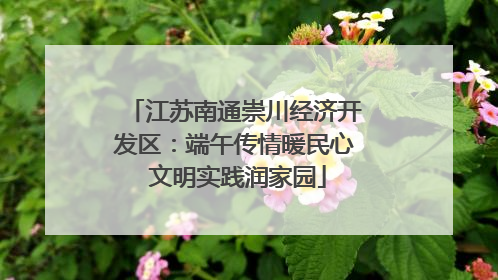 江苏南通崇川经济开发区：端午传情暖民心 文明实践润家园