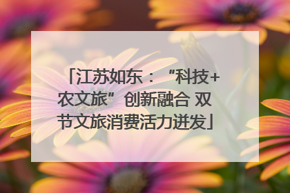 江苏如东：“科技+农文旅”创新融合 双节文旅消费活力迸发