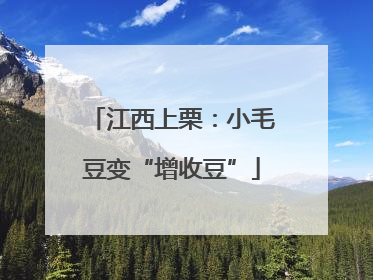 江西上栗：小毛豆变“增收豆”