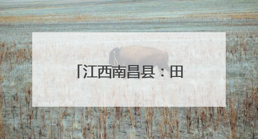 江西南昌县：田间地头化纠纷 社区治理绘同心