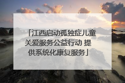 江西启动孤独症儿童关爱服务公益行动 提供系统化康复服务