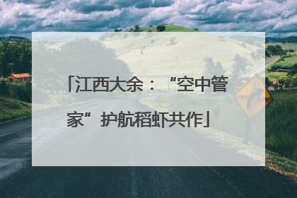 江西大余：“空中管家”护航稻虾共作