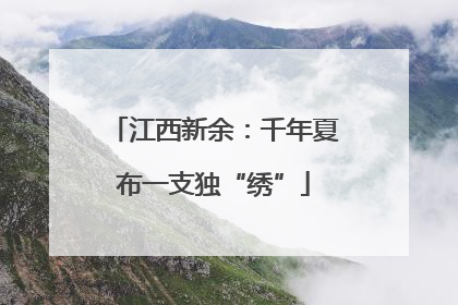 江西新余：千年夏布一支独“绣”