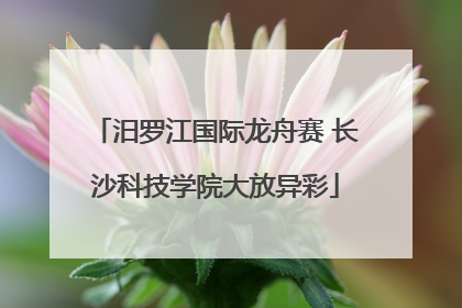 汨罗江国际龙舟赛 长沙科技学院大放异彩
