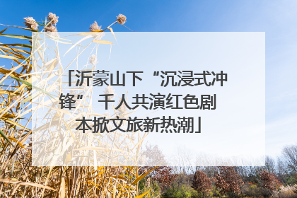 沂蒙山下“沉浸式冲锋” 千人共演红色剧本掀文旅新热潮