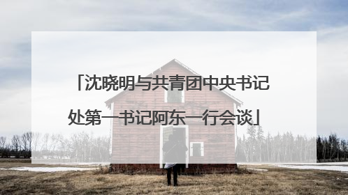 沈晓明与共青团中央书记处第一书记阿东一行会谈