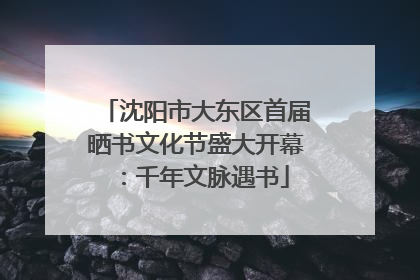 沈阳市大东区首届晒书文化节盛大开幕：千年文脉遇书