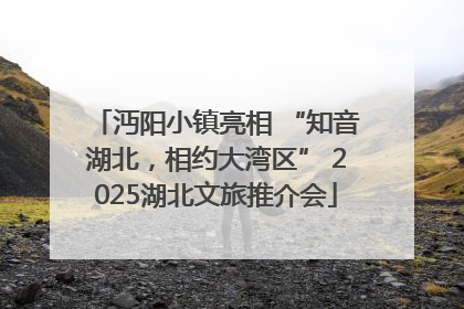 沔阳小镇亮相 “知音湖北，相约大湾区” 2025湖北文旅推介会