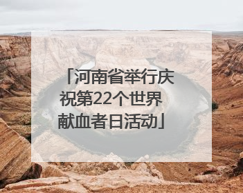 河南省举行庆祝第22个世界献血者日活动