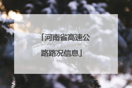 河南省高速公路路况信息