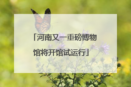河南又一重磅博物馆将开馆试运行