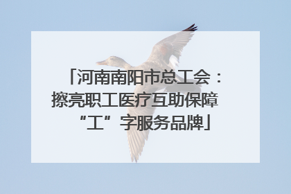 河南南阳市总工会：擦亮职工医疗互助保障“工”字服务品牌