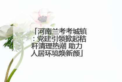 河南兰考考城镇：党建引领掀起秸秆清理热潮 助力人居环境焕新颜