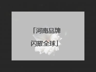 河南品牌 闪耀全球