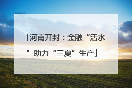 河南开封：金融“活水”助力“三夏”生产