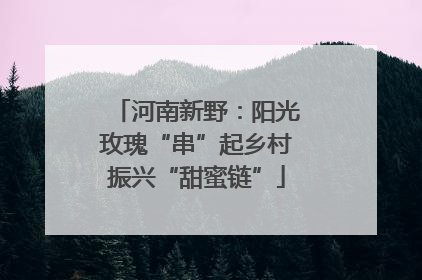 河南新野：阳光玫瑰“串”起乡村振兴“甜蜜链”