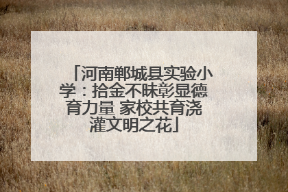 河南郸城县实验小学：拾金不昧彰显德育力量 家校共育浇灌文明之花