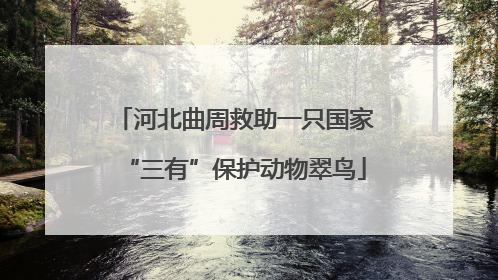 河北曲周救助一只国家“三有”保护动物翠鸟