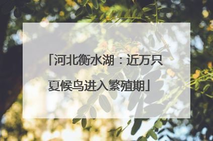 河北衡水湖：近万只夏候鸟进入繁殖期