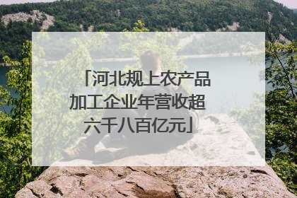 河北规上农产品加工企业年营收超六千八百亿元
