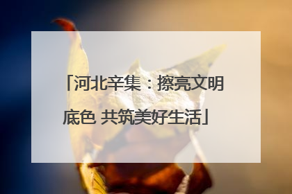河北辛集：擦亮文明底色 共筑美好生活