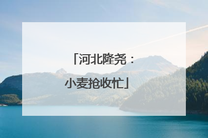 河北隆尧：小麦抢收忙